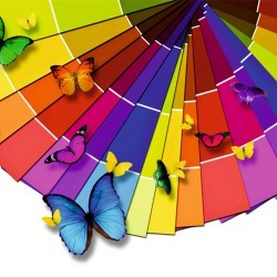 Сплошные цвета