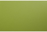 M3 - Зеленого кактуса зернистый бархат